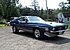 1971 Ford Mustang for sale 101027121