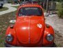 1972 Volkswagen Beetle for sale 101839578