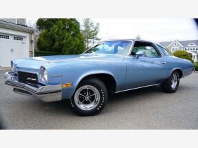 1973 Buick Gran Sport for sale 101736449