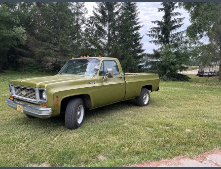 Photo 1 for 1973 Chevrolet C/K Truck 2WD Regular Cab 2500 for Sale by Owner