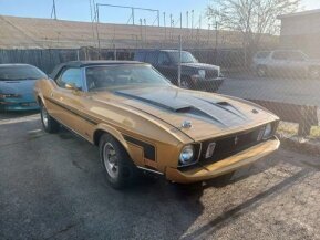 1973 Ford Mustang for sale 101884503