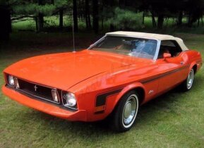 1973 Ford Mustang Convertible for sale 101659243