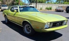 1973 Ford Mustang for sale 101857959