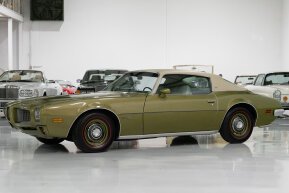 1973 Pontiac Firebird Esprit for sale 101973998