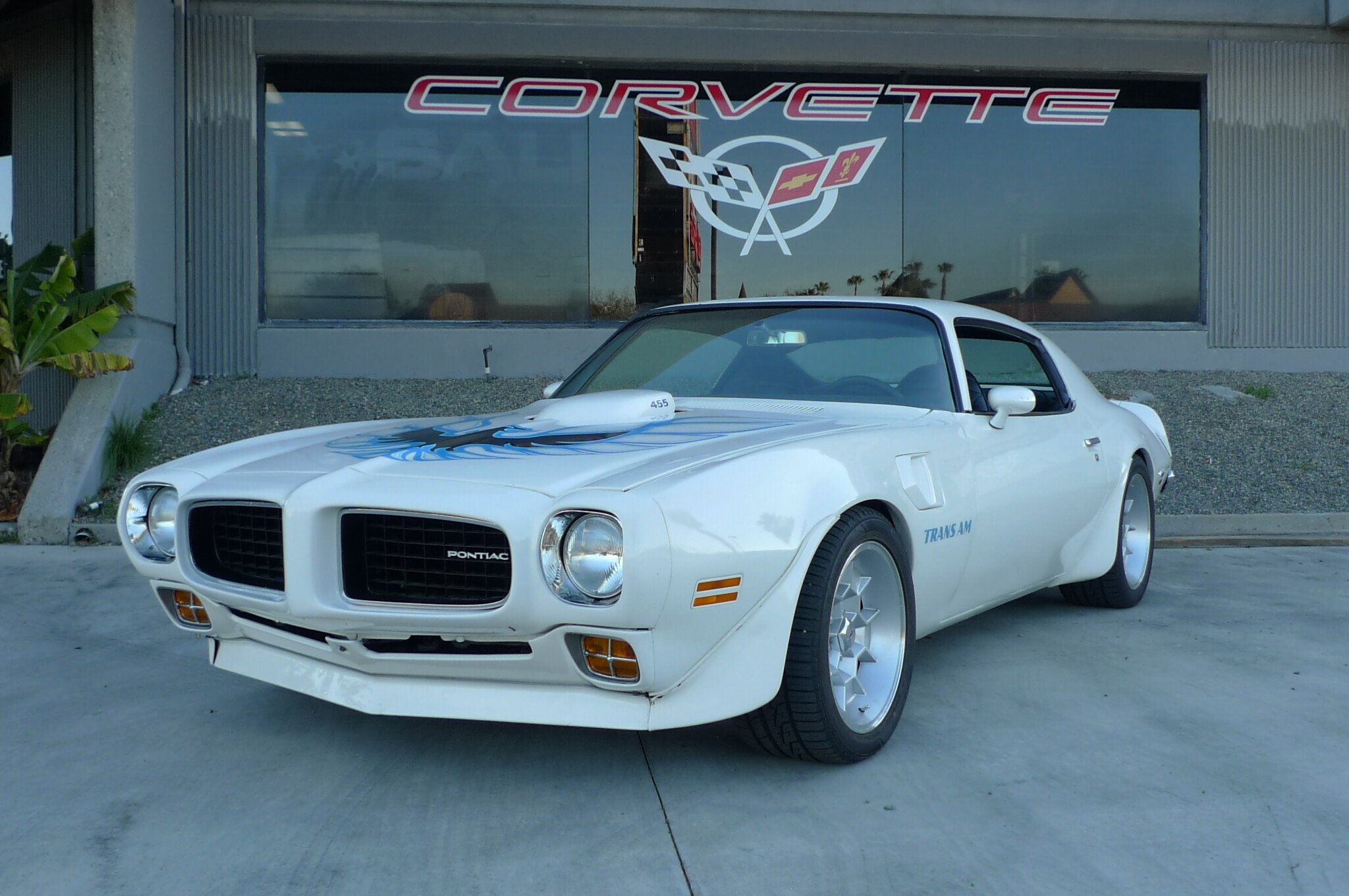 Pontiac Trans Am Classic Cars for Sale - Classics on Autotrader