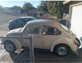 1974 Volkswagen Beetle for sale 101973993