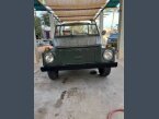 Thumbnail Photo 6 for 1974 Volkswagen Thing