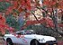 1975 MG MGB for sale 101628166