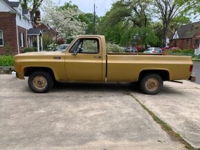 1976 Chevrolet C/K Truck for sale 101825318