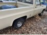 1976 Chevrolet C/K Truck for sale 101823920