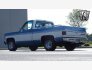 1976 Chevrolet C/K Truck for sale 101825203