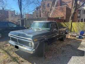 1976 Ford F150 for sale 102012194