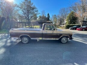 1976 Ford F150 for sale 102020028