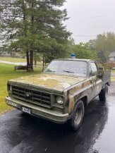 1977 Chevrolet C/K Truck for sale 101823531