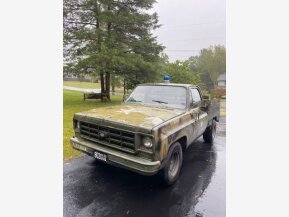 1977 Chevrolet C/K Truck for sale 101823531