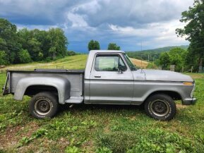 1977 Ford F100 for sale 101915206