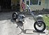 1977 Harley-Davidson Sportster for sale 200550390