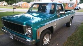 1978 Chevrolet C/K Truck for sale 101586241