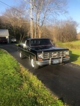 1978 Chevrolet C/K Truck for sale 101730668