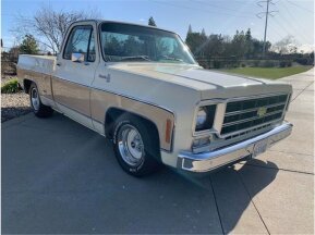 1978 Chevrolet C/K Truck for sale 101841455