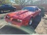 1978 Pontiac Firebird for sale 101739222