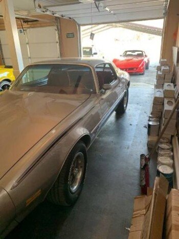 1978 Pontiac Other Pontiac Models