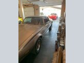 1978 Pontiac Other Pontiac Models