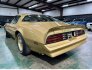 1978 Pontiac Trans Am for sale 101816143