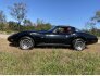 1979 Chevrolet Corvette for sale 101807591