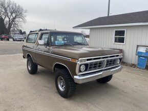 1979 Ford Bronco for sale 101771501