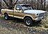 1979 Ford F150 4x4 Regular Cab for sale 101267301