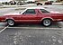 1979 Ford Thunderbird for sale 101262779