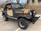 Thumbnail Photo 2 for 1979 Jeep CJ-7 for Sale by Owner