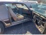1979 Pontiac Firebird for sale 101581496