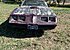 1979 Pontiac Firebird for sale 101629718