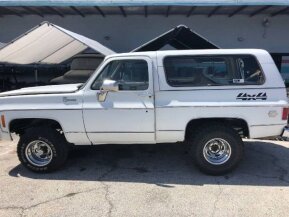 1980 Chevrolet Blazer for sale 101899967