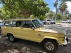 Thumbnail Photo 4 for 1980 Jeep Wagoneer Limited