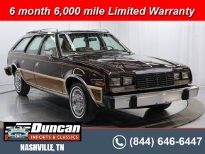 1981 AMC Concord DL Wagon for sale 101978449