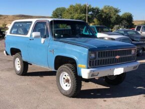 1981 Chevrolet Blazer for sale 101959712
