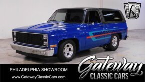 1981 Chevrolet Blazer for sale 101980119