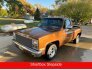 1981 Chevrolet C/K Truck 2WD Regular Cab 1500 for sale 101798909