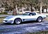 1981 Chevrolet Corvette Coupe for sale 101210032