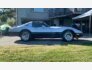 1981 Chevrolet Corvette for sale 101755272