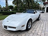 1981 Chevrolet Corvette Coupe for sale 101927671