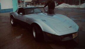 1981 Chevrolet Corvette for sale 101867135