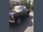 Thumbnail Photo 6 for 1981 Ford F100