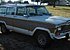 1981 Jeep Wagoneer for sale 101047068