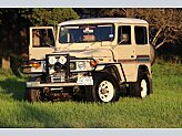1981 Toyota Land Cruiser for sale 102016281