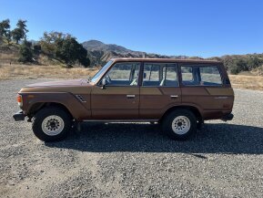 1981 Toyota Land Cruiser for sale 101848737