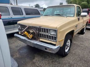 1982 Chevrolet C/K Truck for sale 101964991